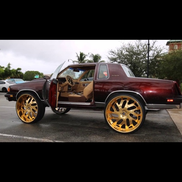 Meet your Posher, Ladarius - Picture 1 of 1